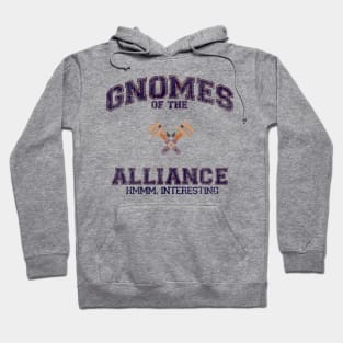 Gnommergan Hoodie